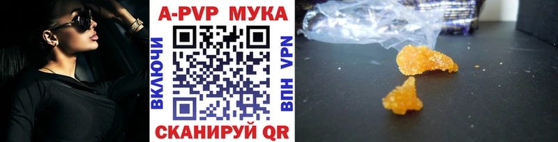 дарнет шоп  блэк спрут как войти  Alpha-PVP СК  Прохладный 