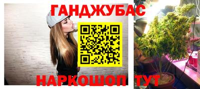 дмт Камышлов