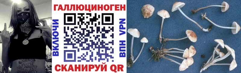 Галлюциногенные грибы мицелий  где найти   Прохладный 
