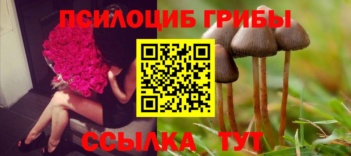 Галлюциногенные грибы GOLDEN TEACHER  где купить наркотик  Галлюциногенные грибы GOLDEN TEACHER  Прохладный  Вход с VPN 